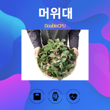 머위대 알아보기