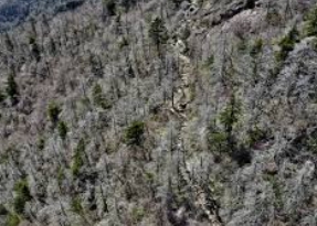 지리산 국립공원 대피소 예약