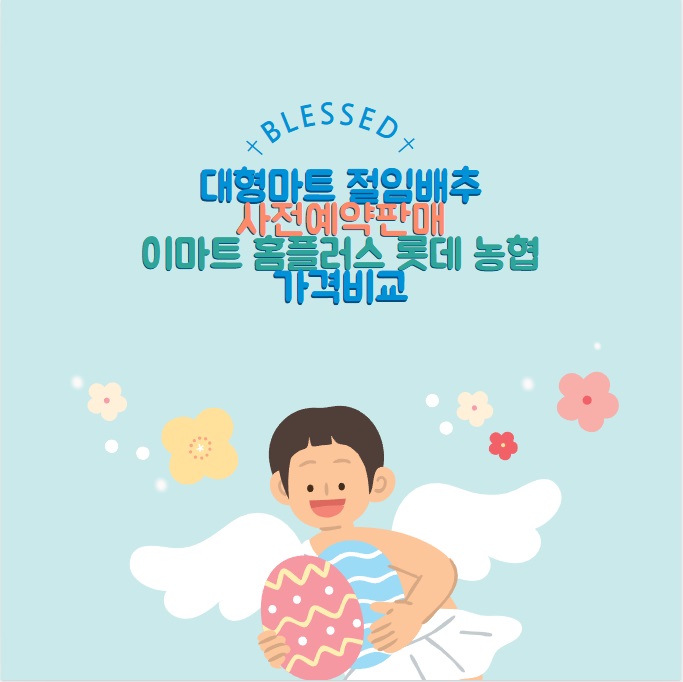 대형마트 절임배추 예약판매 가격비교 이마트 홈플 롯데 농협