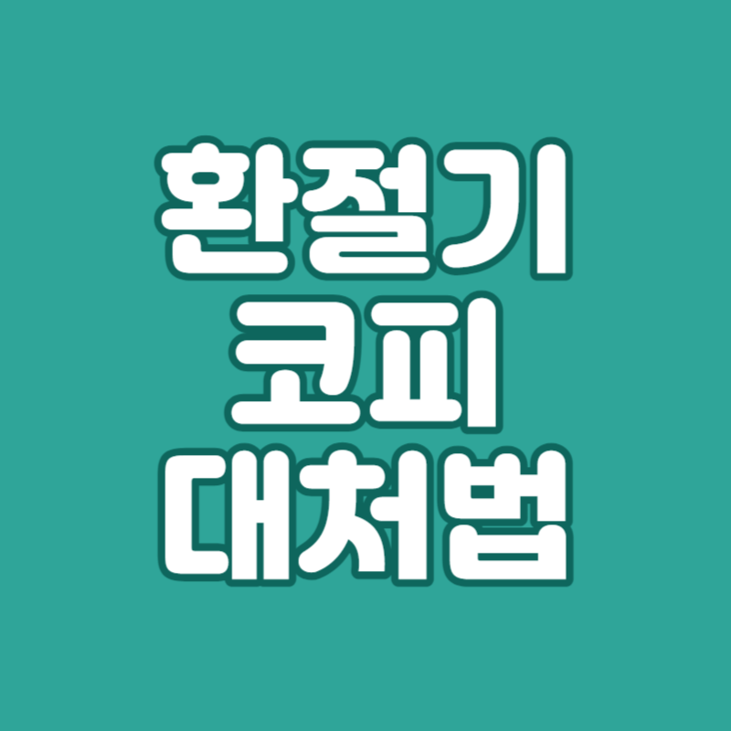 환절기 코피