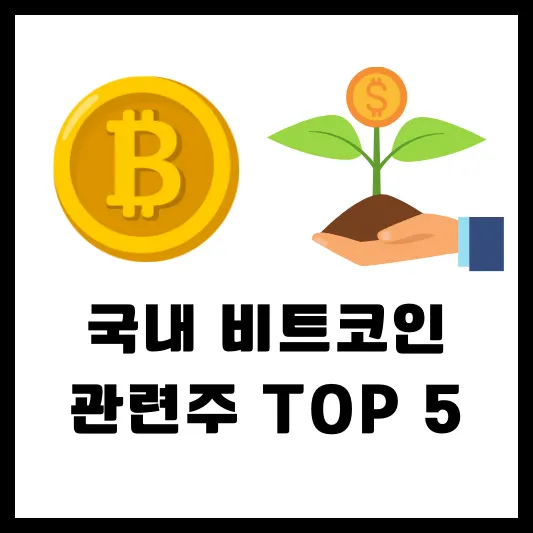2024 국내 비트 코인 관련주 TOP 5