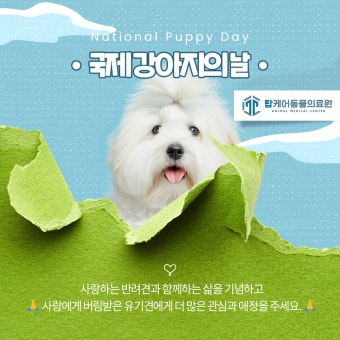 실패 없는 센스 선물&amp;#44; 이 5가지는 반드시 통합니다