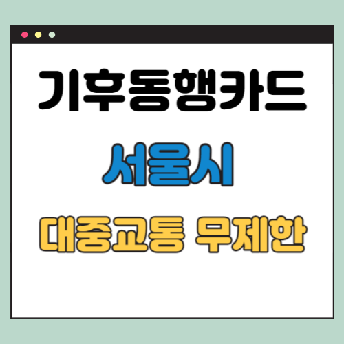 기후동행카드