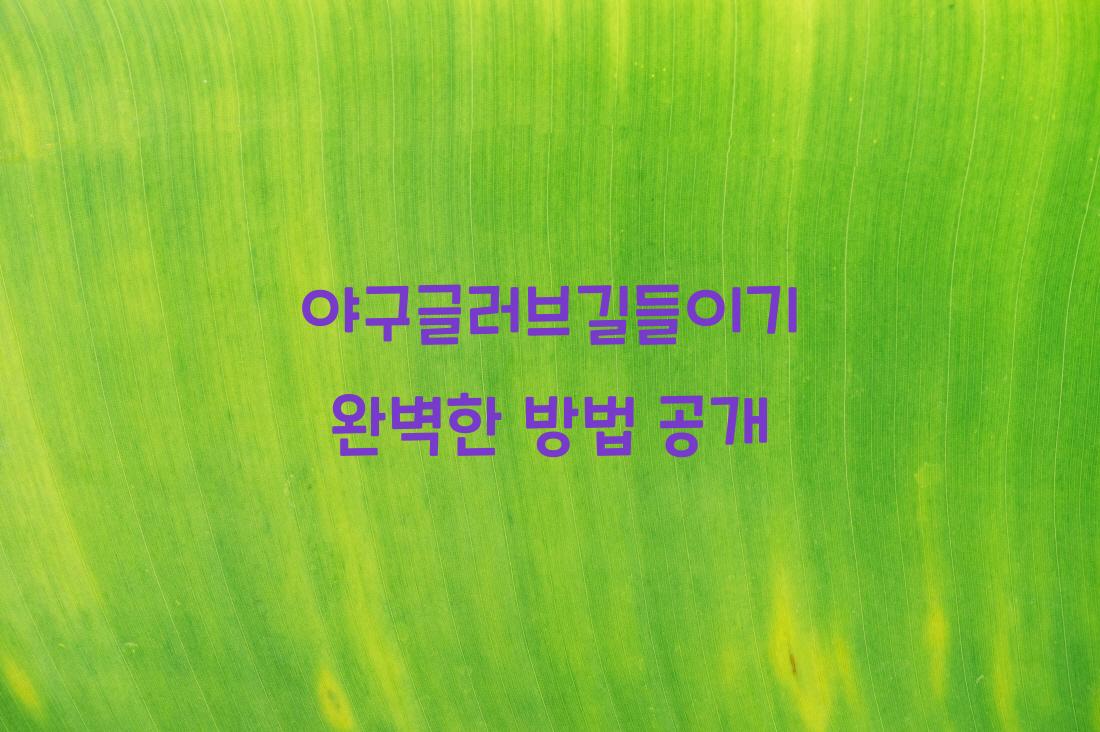 야구글러브길들이기