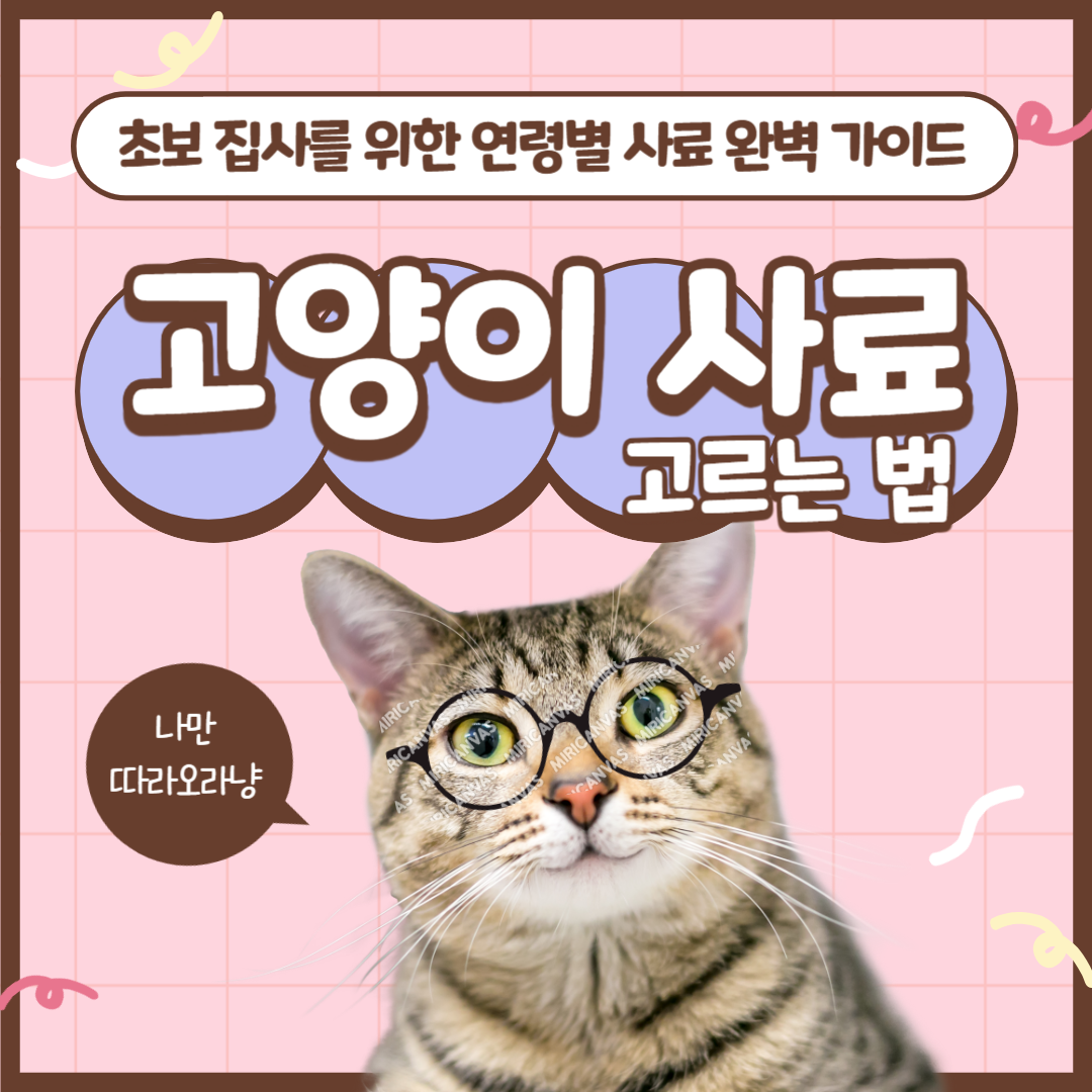 고양이사료