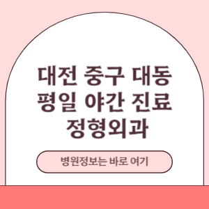 대전 중구 대사동 야간진료 정형외과 병원 (18시 이후 늦게까지하는 병원)