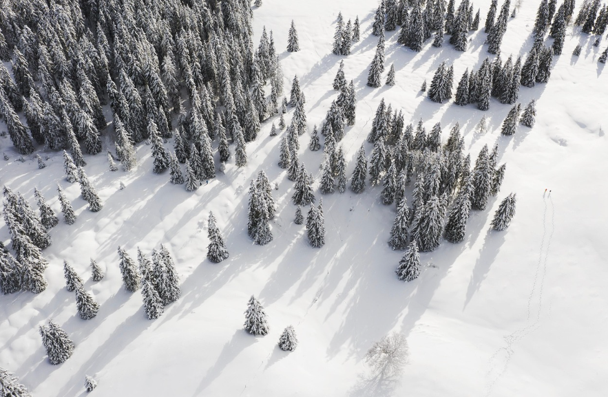 2025 눈 내리는 날 가기 좋은 여행지