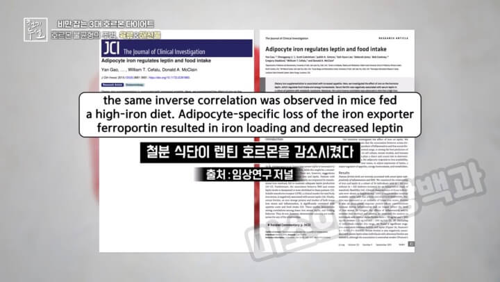 철분-식단-렙틴-연관성-저널-사진