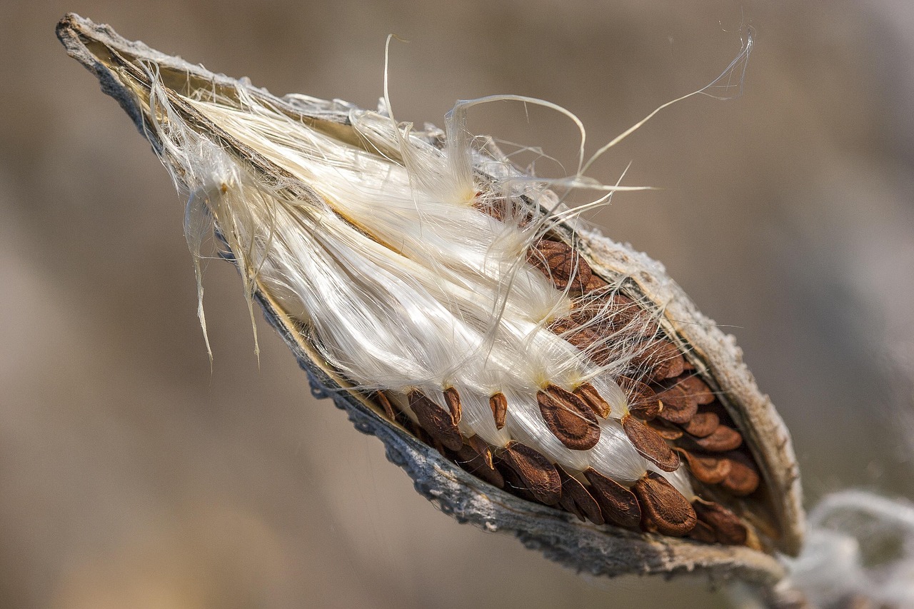 누에(鵺)의 정체와 고대 일본 사회가 느낀 두려움에 관한 고찰