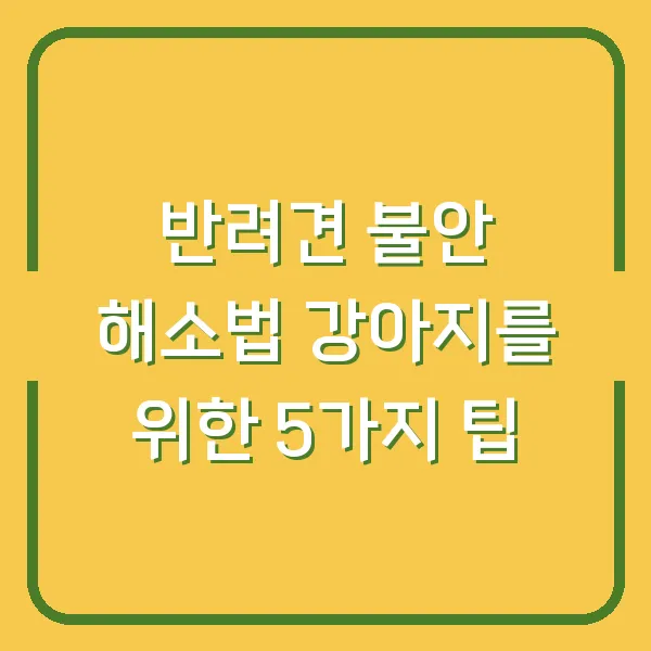반려견 불안 해소법 강아지를 위한 5가지 팁