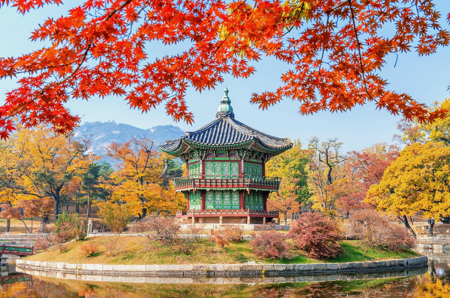 단풍명소 관련 사진