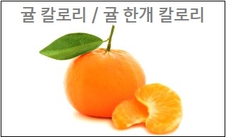 귤 칼로리 귤 한개 칼로리