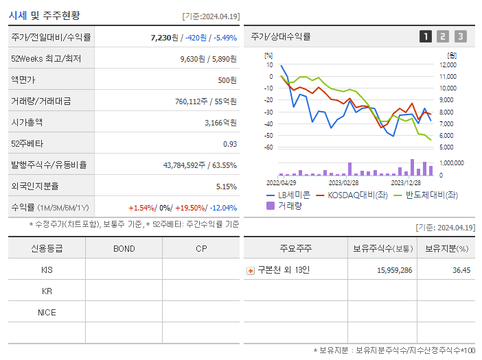 엘비세미콘_기업개요