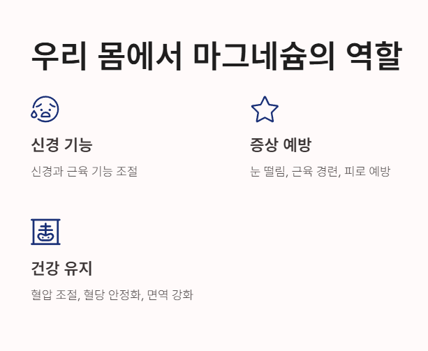마그네슘 역할