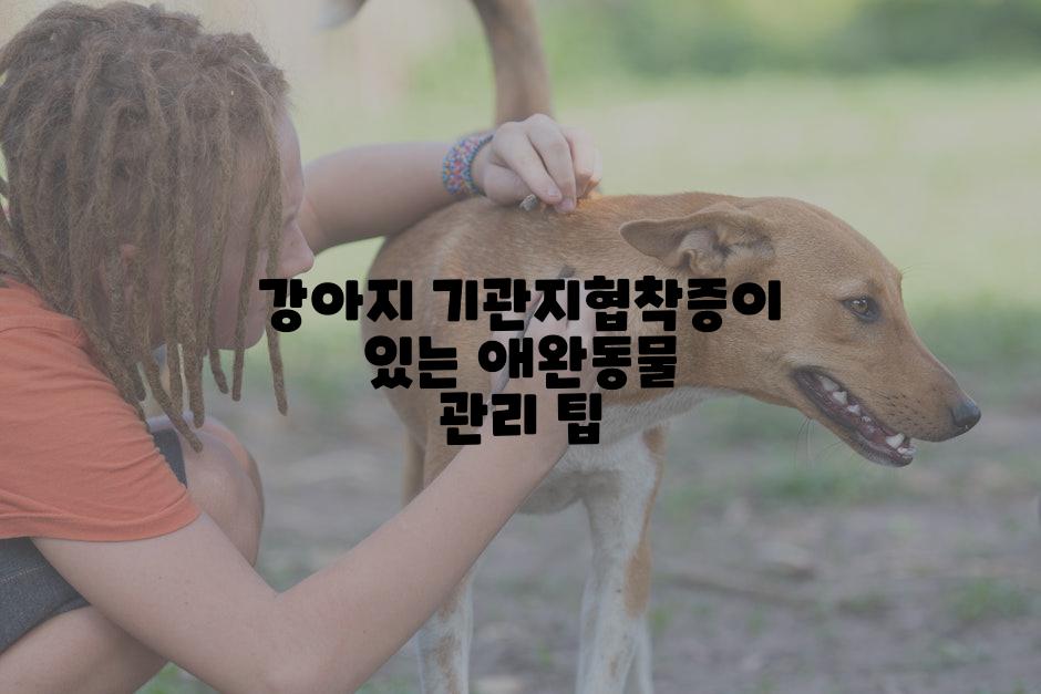 강아지 기관지협착증이 있는 애완동물 관리 팁