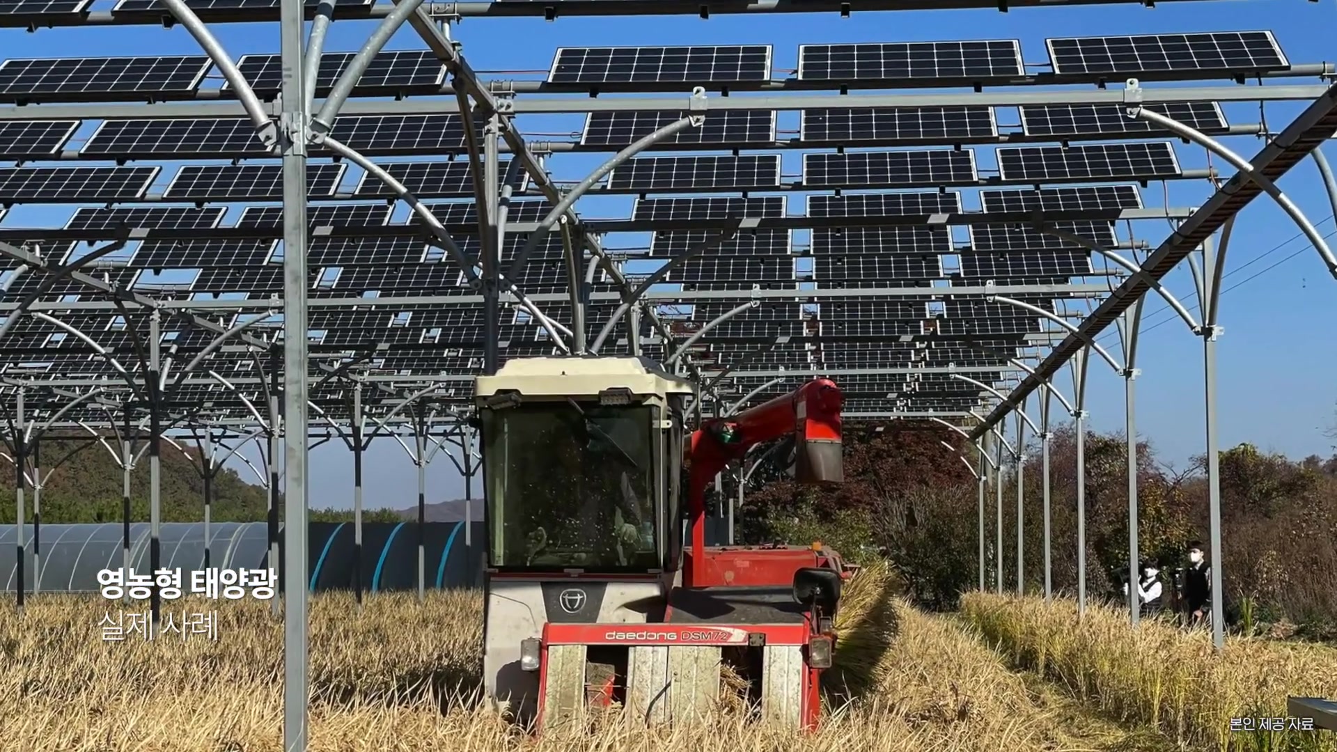 영농형 태양광