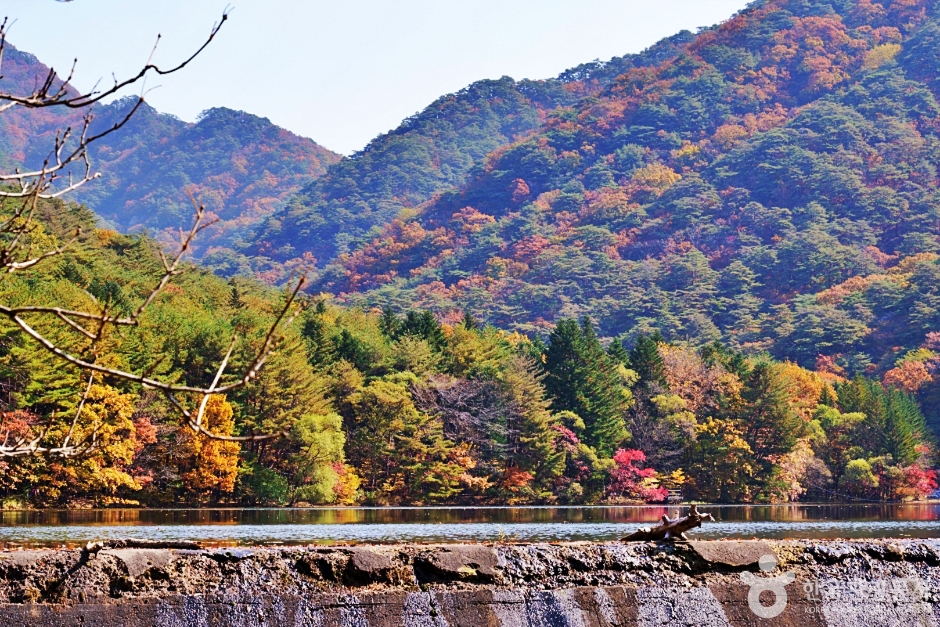 속리산