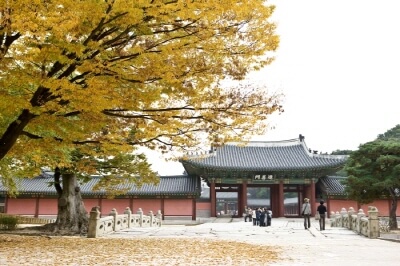 창덕궁-후원-사전-예약-필수-정보