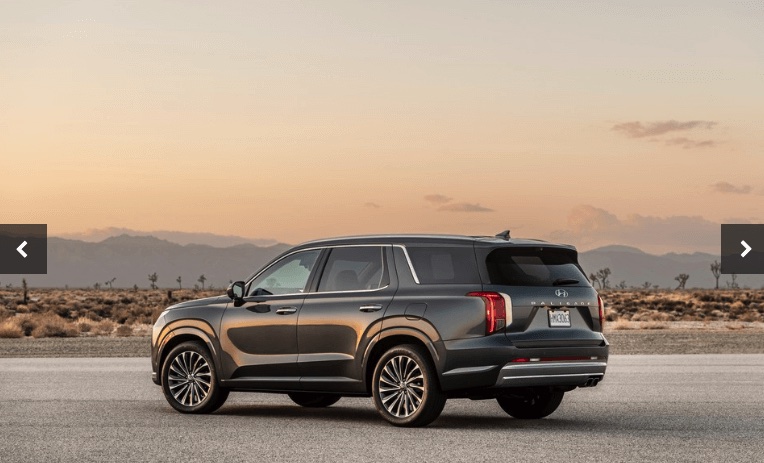 2023년-현대-펠리사이드