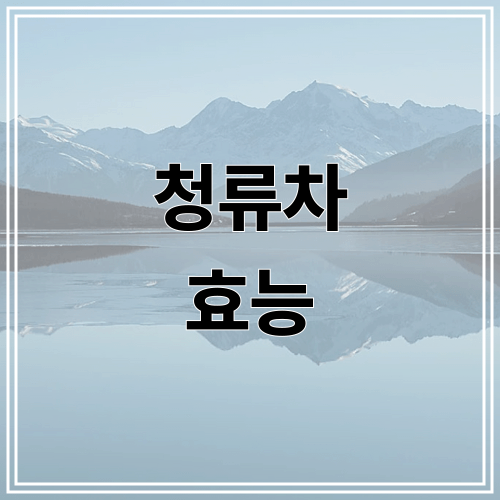 청류차 효능