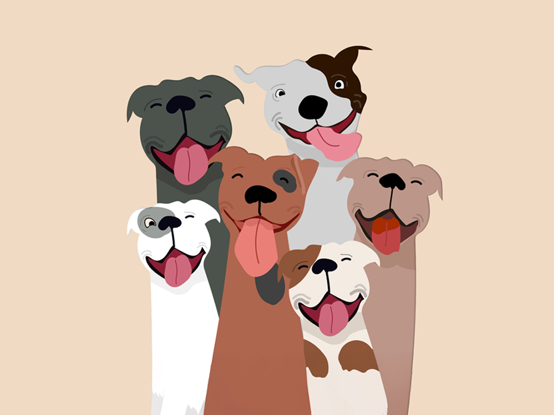 25년 5월 22일 말씀 카드 성경구절 : 내 기쁨이 너희 안에 있다. (요한 15,11)