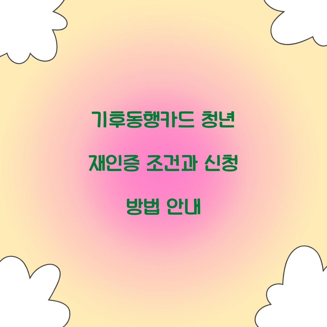 기후동행카드 청년 재인증