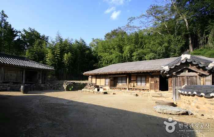 보성 강골마을