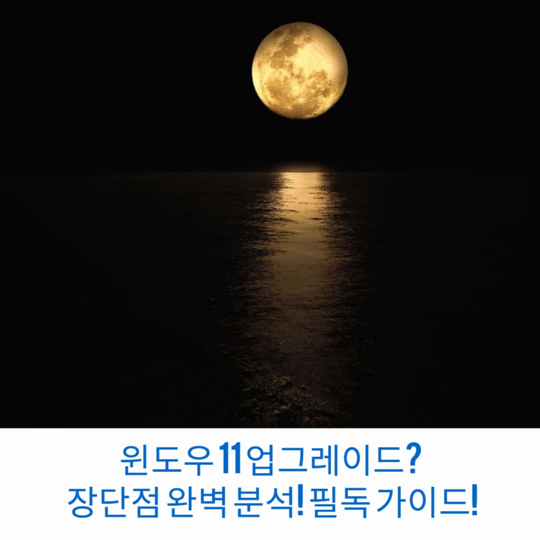 윈도우-11-업그레이드-장단점-완벽-분석-필독-가이드-썸네일