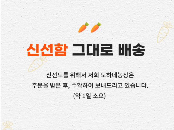 6시내고향 제주 구좌 당근 구매정보 도하네농장