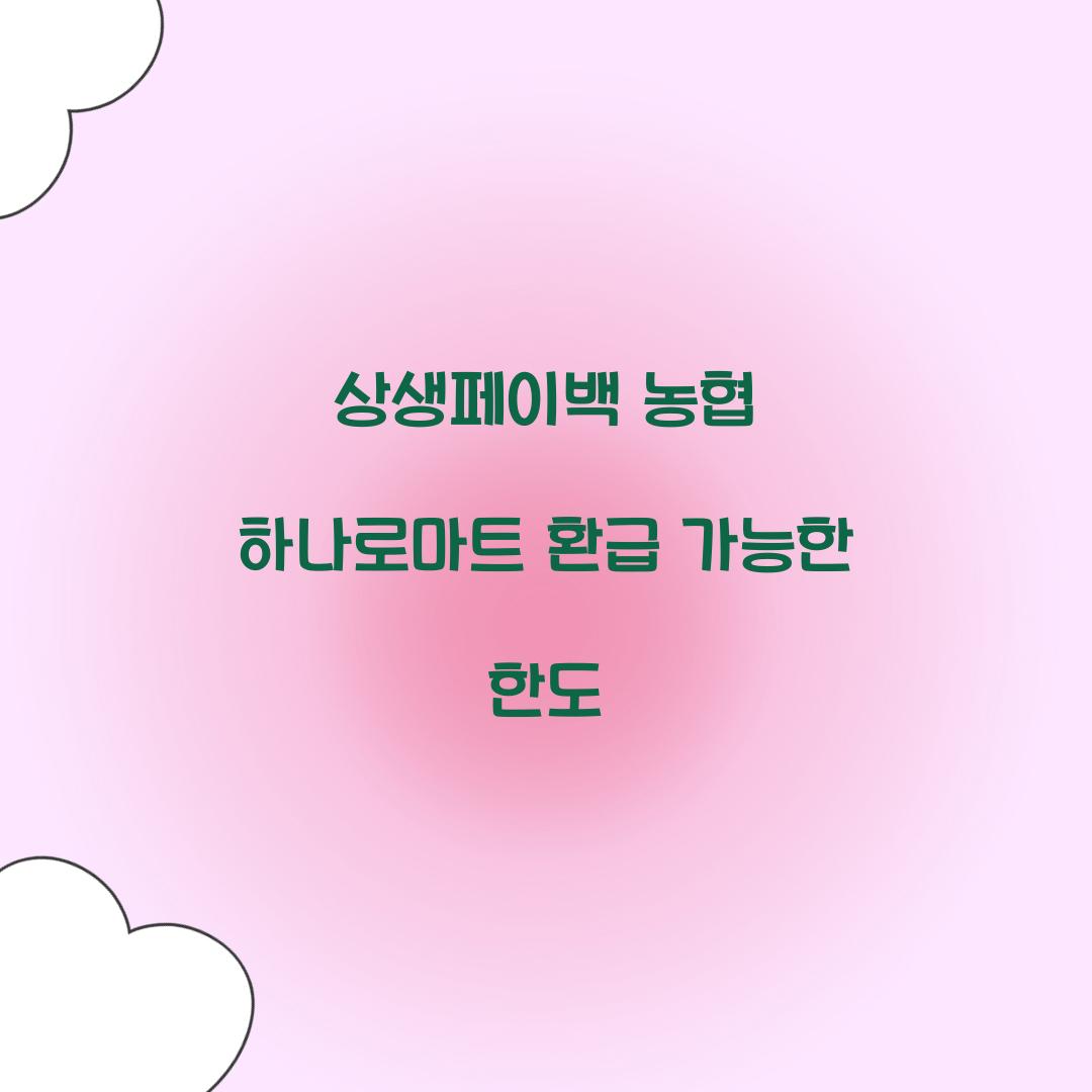 상생페이백 농협 하나로마트 환급 가능한 한도