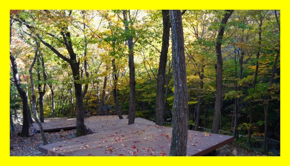 국립자연휴양림 예약가이드&amp;#44; 국립자연휴양림 알림서비스&amp;#44; 국립자연휴양림 예약주의&amp;#44; 자연휴양림 대기접수