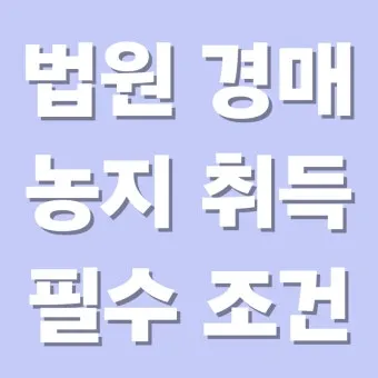 농지 취득 절차 자격증명 면적 제한 서류 신고 유의점_12