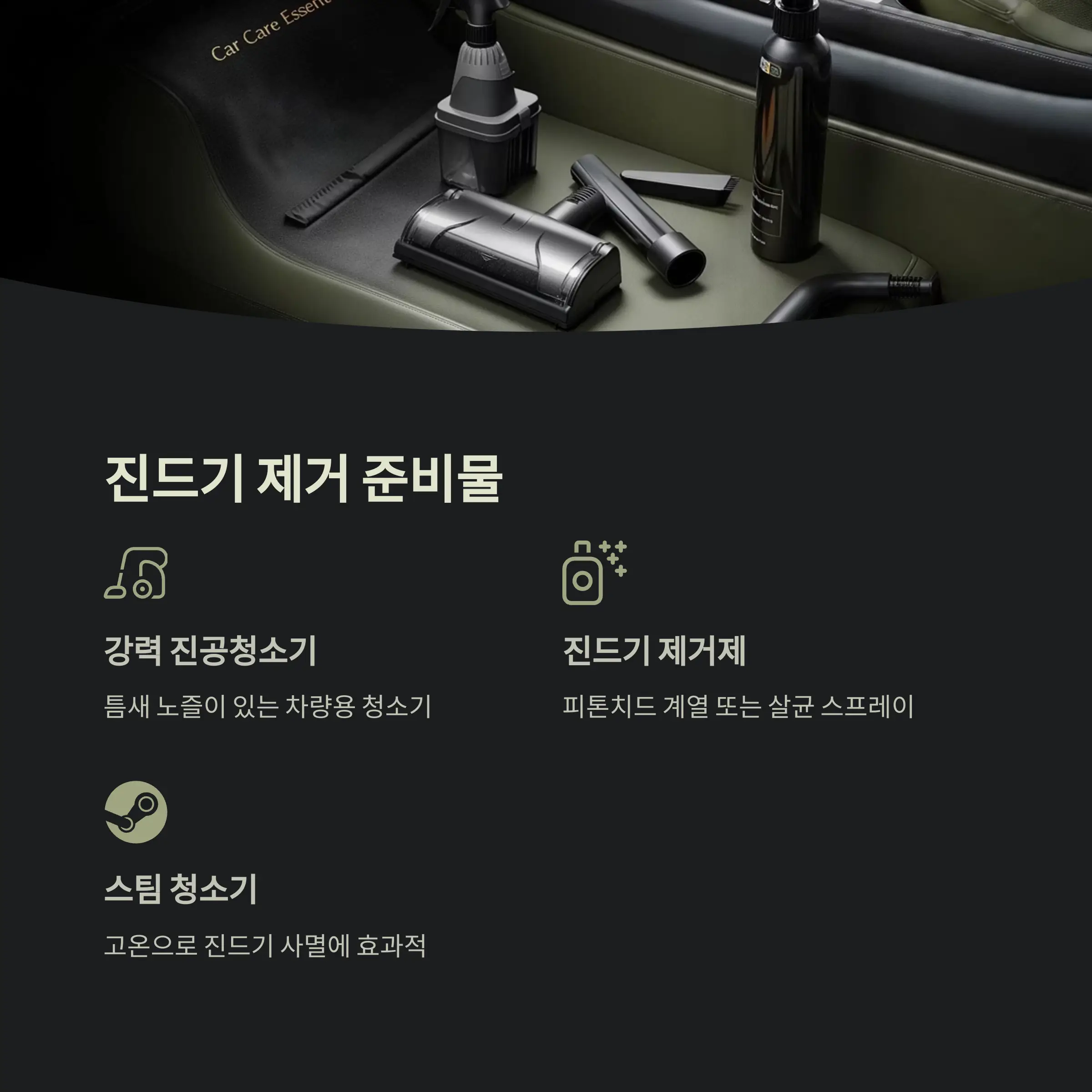 차량 진드기 제거 정보