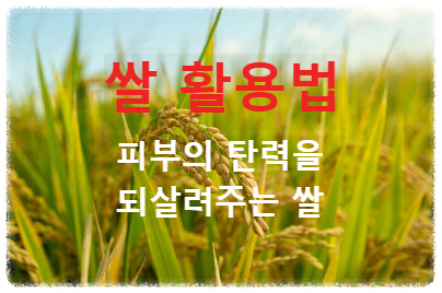 쌀 활용법