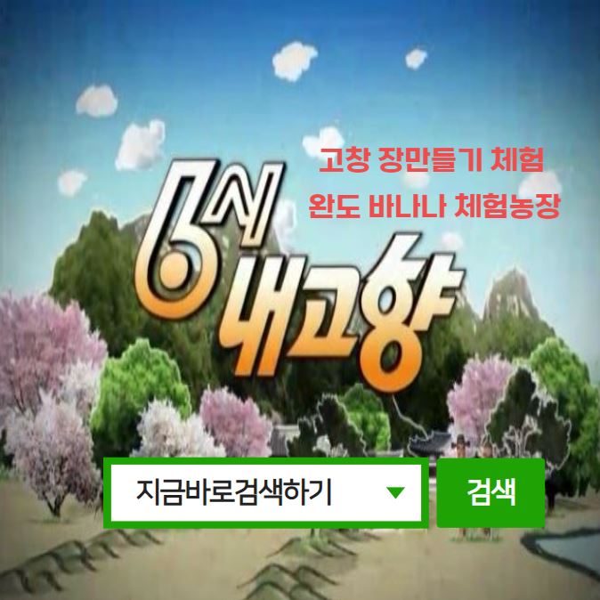 고창 장만들기 체험 완도 바나나 체험농장