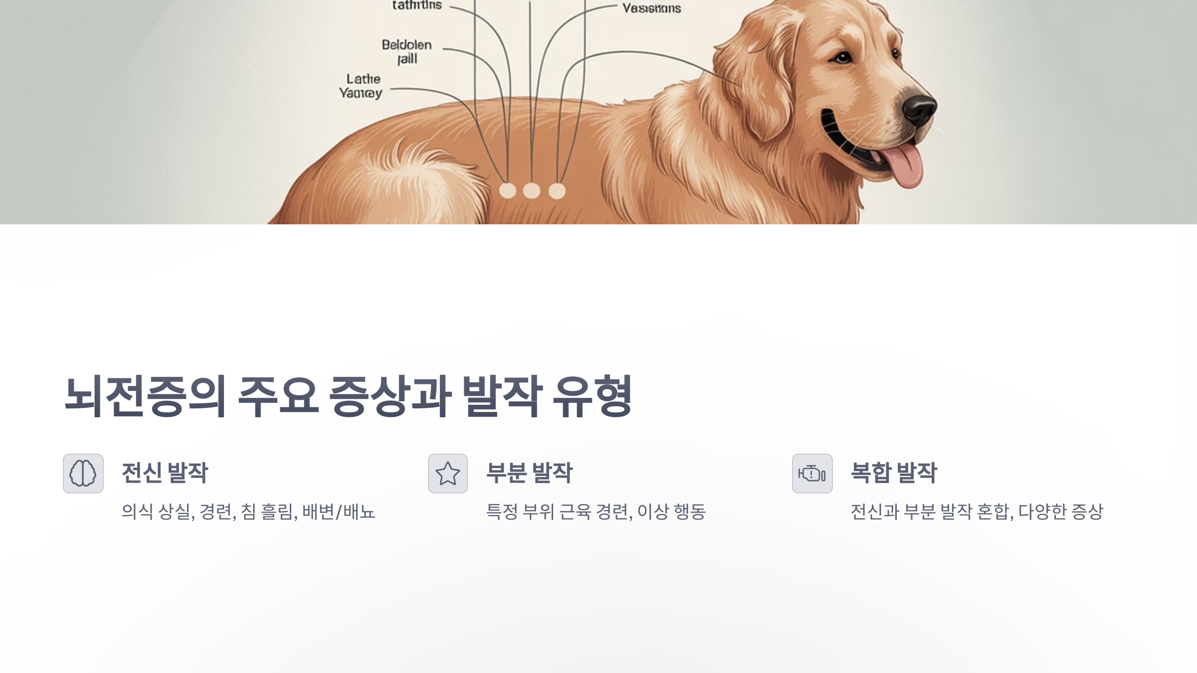 참조-뇌전증,-반려동물-2