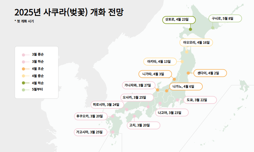 일본벚꽃개화시기
