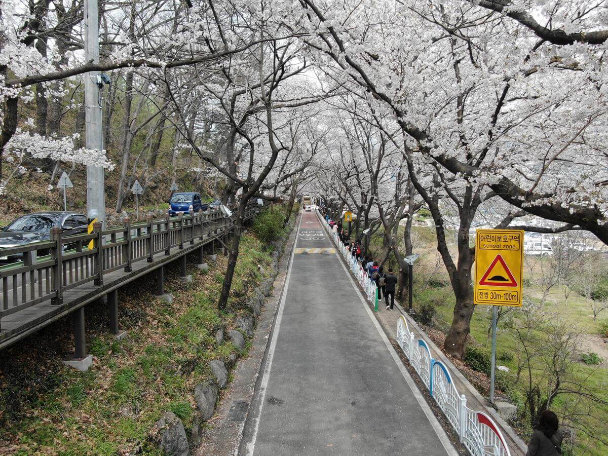 3월국내여행지BEST5