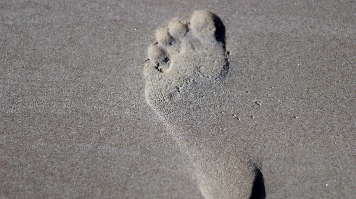 A Sustainable Travel Plan 8