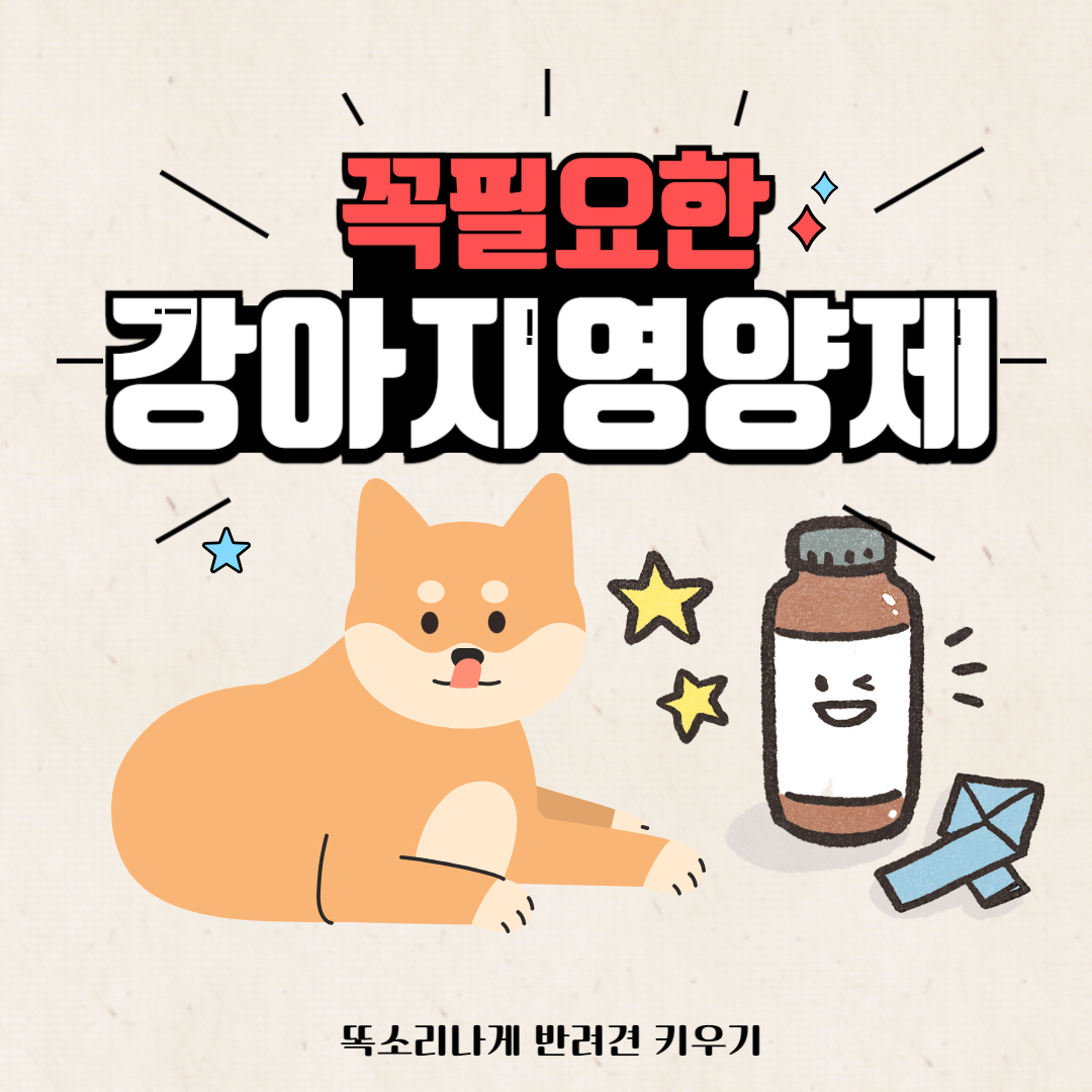 꼭 필요한 강아지 영양제