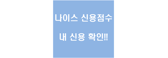 나이스 신용점수 내 신용상태 확인 사각문구