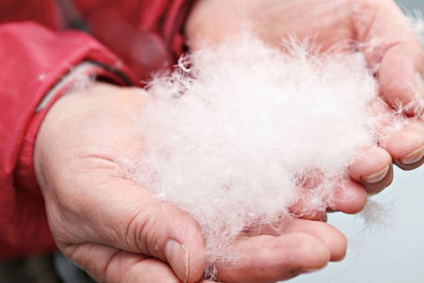 오리털패딩 드라이,숨죽은 패딩 살리는법,오리털패딩 세탁법,롱패딩 세탁법,팁줌 매일꿀정보