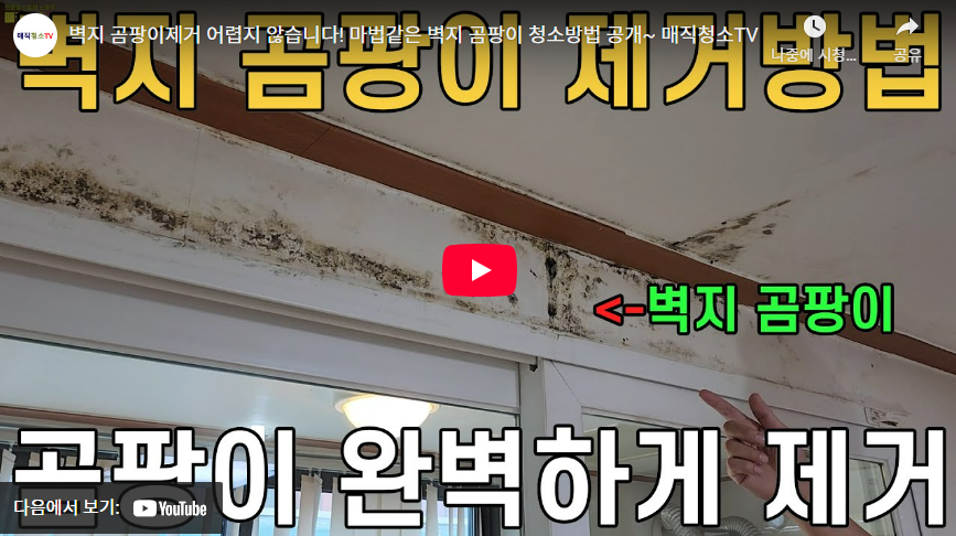 곰팡이 제거 방법