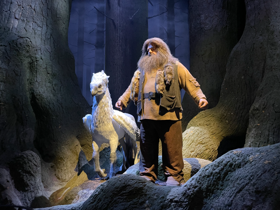 해그리드와 벅비크