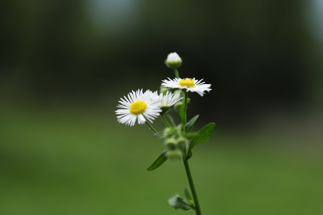 Stand-up