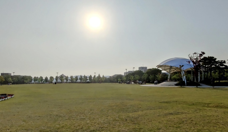 넓은 잔디 광장
