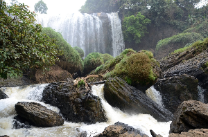 달랏 코끼리 폭포