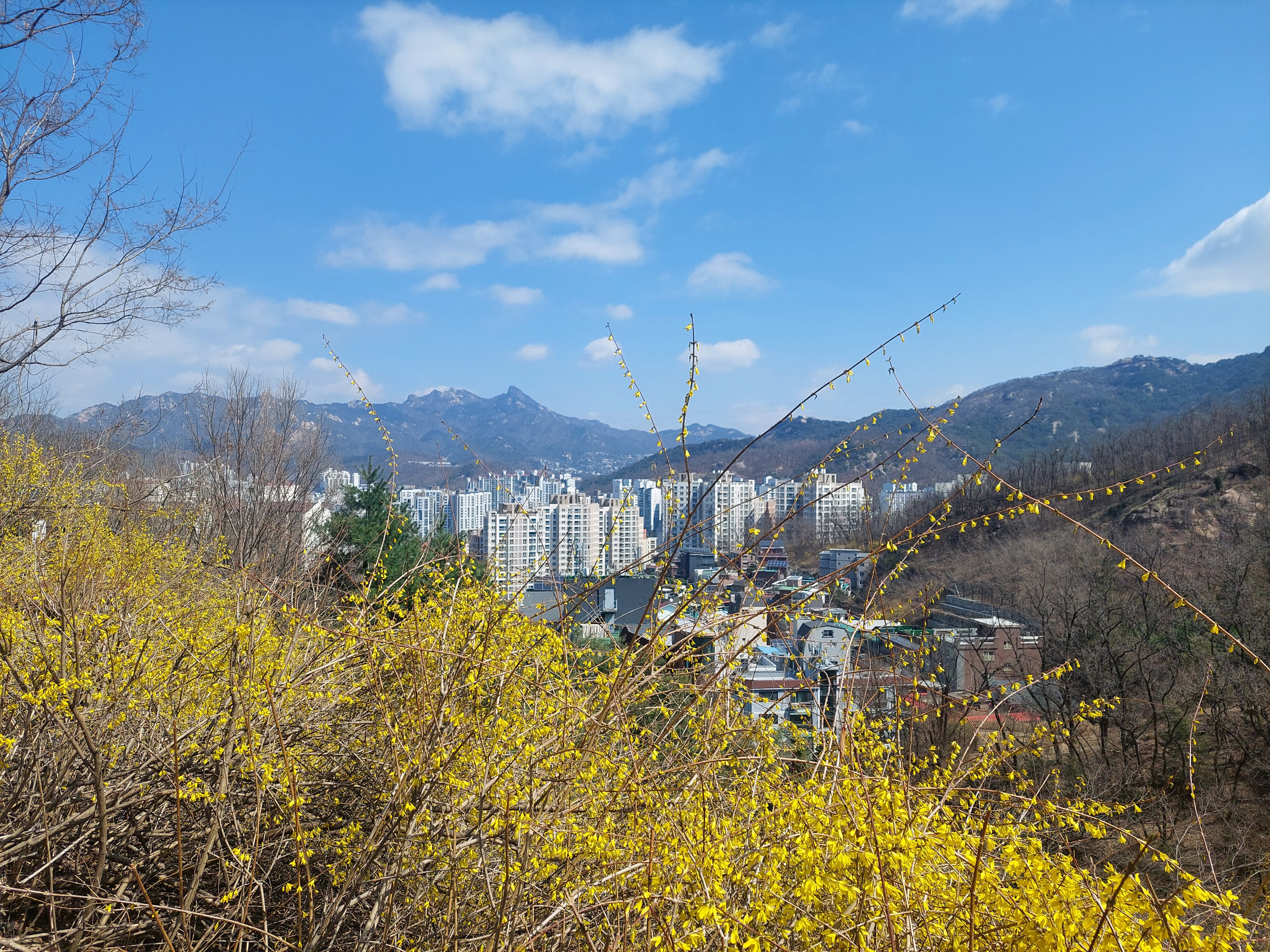 안산