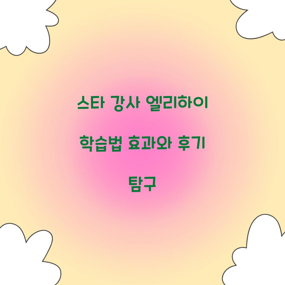 스타 강사 엘리하이 학습법