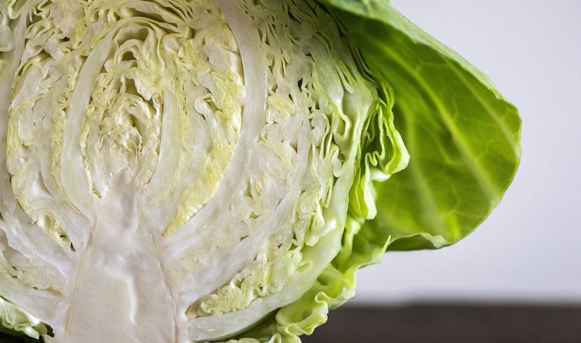 양배추 효능